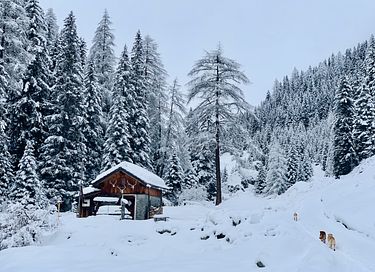 Durchatmen mit Komfort in Engadiner Haus - 39
