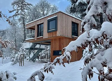 Boomhut met sauna (honden toegestaan) - 30