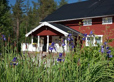 Ruim en luxe vakantiehuis in de natuur