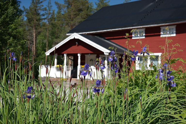 Geräumiges und luxuriöses Ferienhaus in der Natur - 1