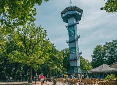Tiny House met terras in een mooie omgeving - 23