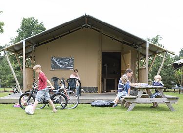 Tente de luxe pour 6 personnes à Veluwe - 2