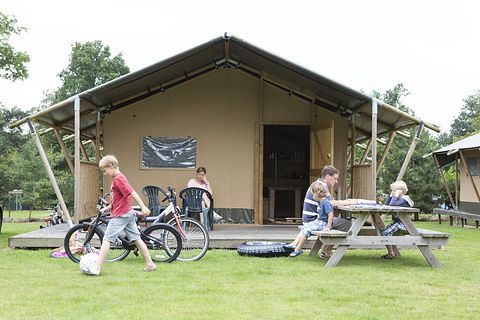 Tente de luxe pour 6 personnes à Veluwe - 2