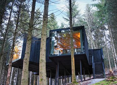 Unieke design cabin met sauna in de Ardennen - 4