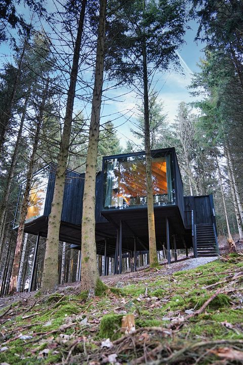 Unieke design cabin met sauna in de Ardennen - 4