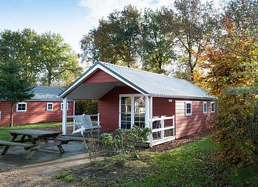Logement de vacances dans les bois sur la Veluwe - 3