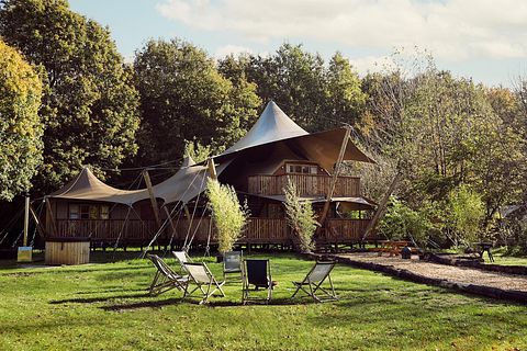 Schönste Glamping-Unterkunft Hollands - 3