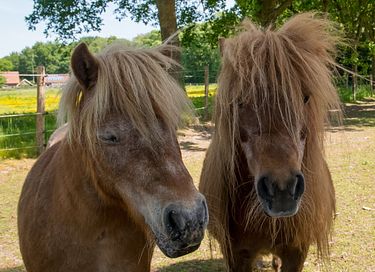 Sfeervol logeren in een historische boerderij - 24