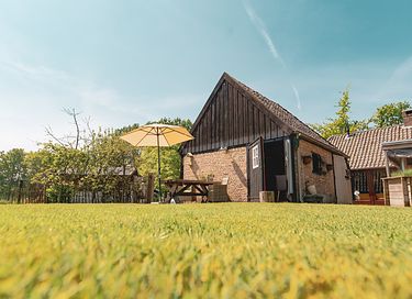 Schönes Ferienhaus in grüner Umgebung - 16