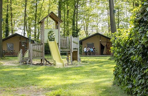 Glamping in the Achterhoek (dog allowed) - 2