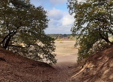Luxe vakantievilla (6p) op de Veluwe - 31