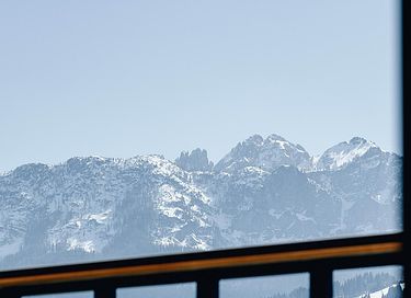 Luxury apartment with sauna in Austria - 19