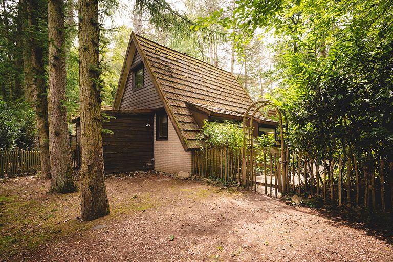 Attractive holiday home in the forest in Belgium - 1