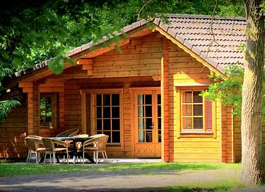 Cabane en rondins robuste (8 personnes) dans la forêt - 3