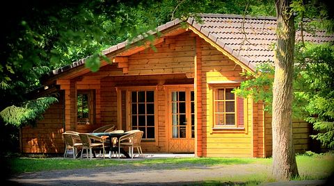 Cabane en rondins robuste (8 personnes) dans la forêt - 3