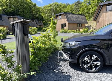 Lodge (6p) met eigen laadpaal - honden welkom - 14