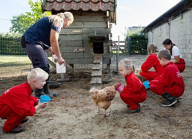 Glamping op veehouderij en akkerbouwboerderij - 5