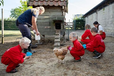 Glamping op veehouderij en akkerbouwboerderij - 5