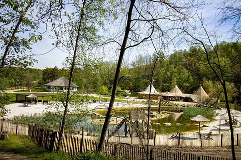 Romantische wellness boshuisje  - 5