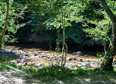 Tente glamping en forêt pour 5 personnes - 14