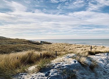Attractive log cabin close to beach and sea - 21
