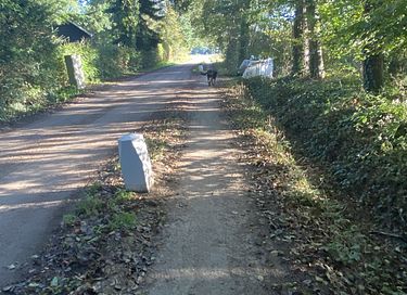 Prachtig natuurhuisje als in een sprookje - 28