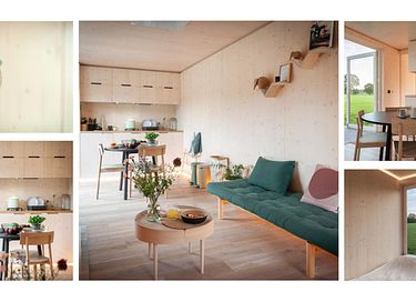 Off Grid Nature Cabin near Antwerp - 10