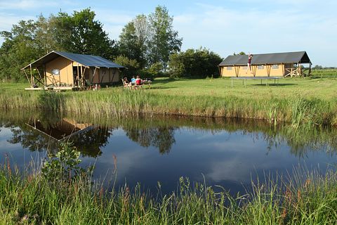 Luxe safaritent in een landelijke omgeving - 4