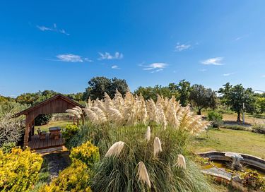 Group accommodation with private pool - 43