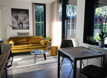 Luxe vakantiehuis met eigen wellness - 4