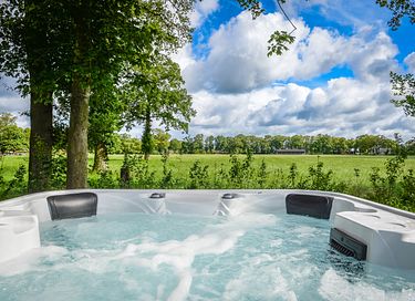Pavillon de bien-être - jacuzzi, sauna et douche solaire - 17