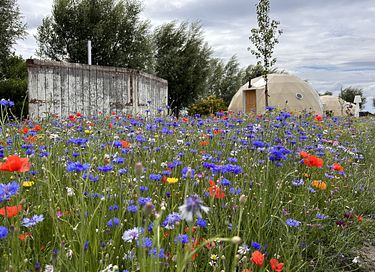 Glamping Dome mit privatem Whirlpool und Aussicht - 19