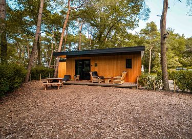 Tiny house met veranda in Drenthe voor 4 personen - 3
