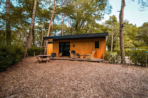 Tiny house met veranda in Drenthe voor 4 personen - 3