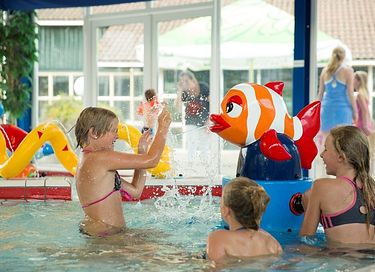 Wellness holiday home in Overijssel - 18