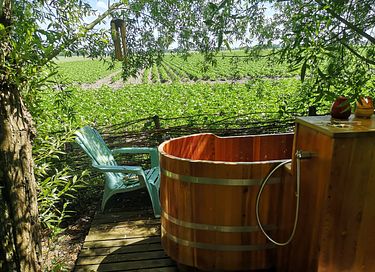 Cottage met hottub - 16