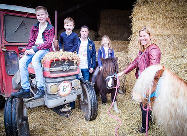  Glamping à la ferme à cheval et à poney - 14