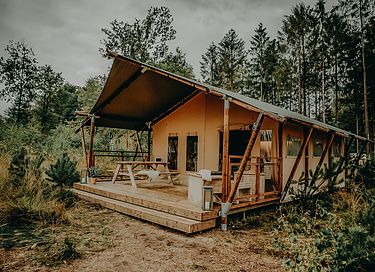Luxe familie tent op de Veluwe - 1