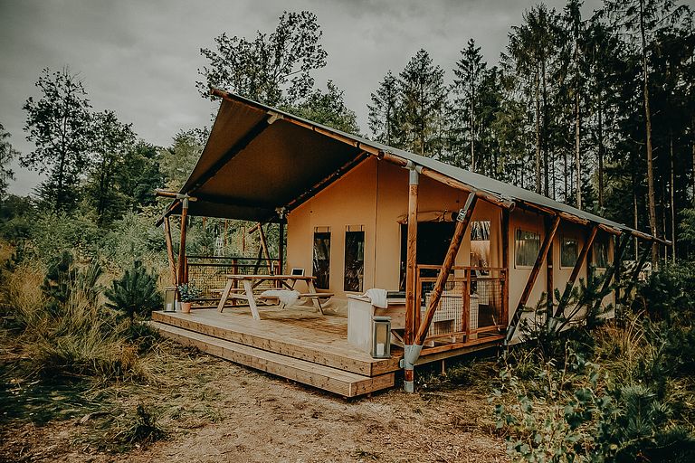 Luxe familie tent op de Veluwe - 1