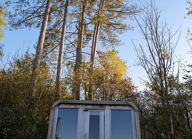 Forest cabin with sauna on a hill in Durbuy - 29