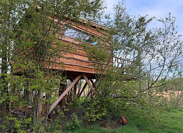 Boomhut met prachtig uitzicht in Drenthe