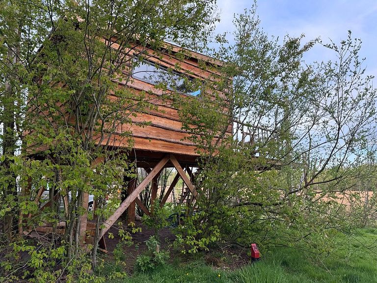Boomhut met prachtig uitzicht in Drenthe - 1