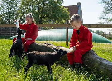 Glamping op een boerderij in Friesland - 10