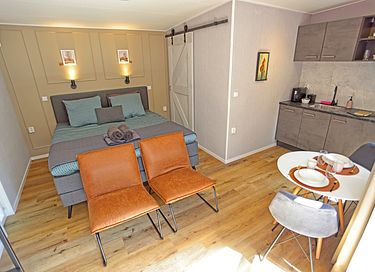 Hotel suite in the Drenthe countryside - 5