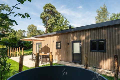 Tiny House mit Whirlpool auf der Veluwe - 5