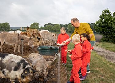 Glamping op Paarden & ponyboerderij - 6