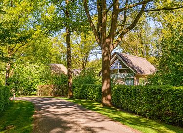 Luxuriöse Villa mit großem Garten in Drenthe - 19