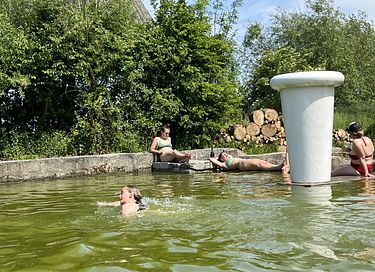 Ferienhaus mit vielen Pflanzen und Whirlpool - 21