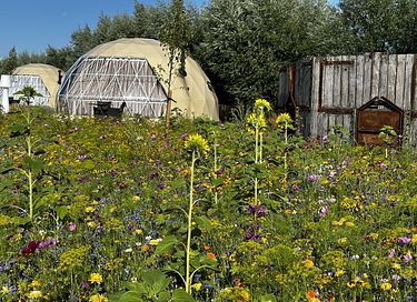 Romantischer Wellness-Aufenthalt in einem luxuriösen Dome - 29
