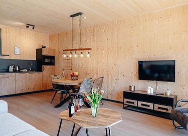 Luxury apartment with sauna in Austria - 5